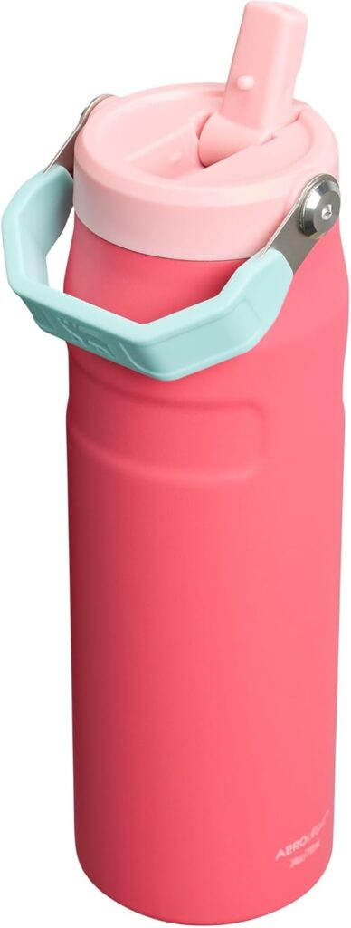 Stanley Water Bottle